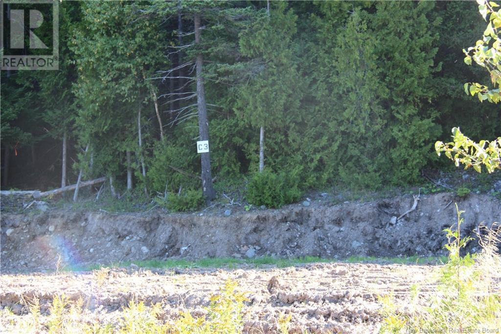 Property at 00 Drury Cove Road image 4