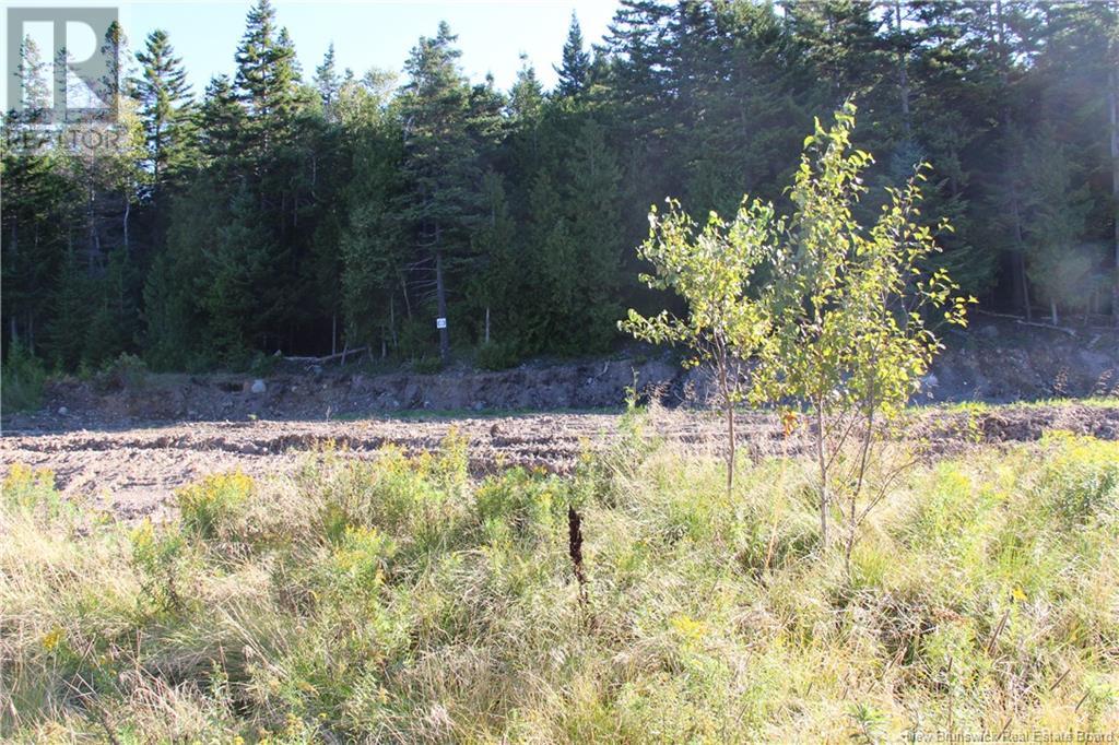 Property at 00 Drury Cove Road image 5