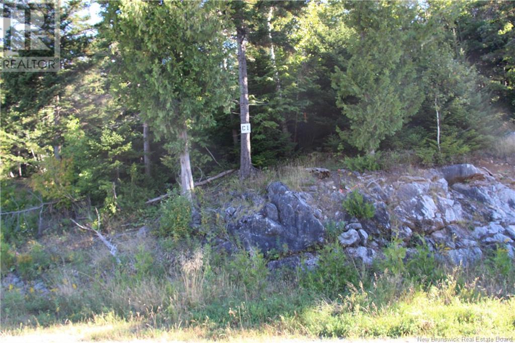 Property at 00 Drury Cove Road image 2