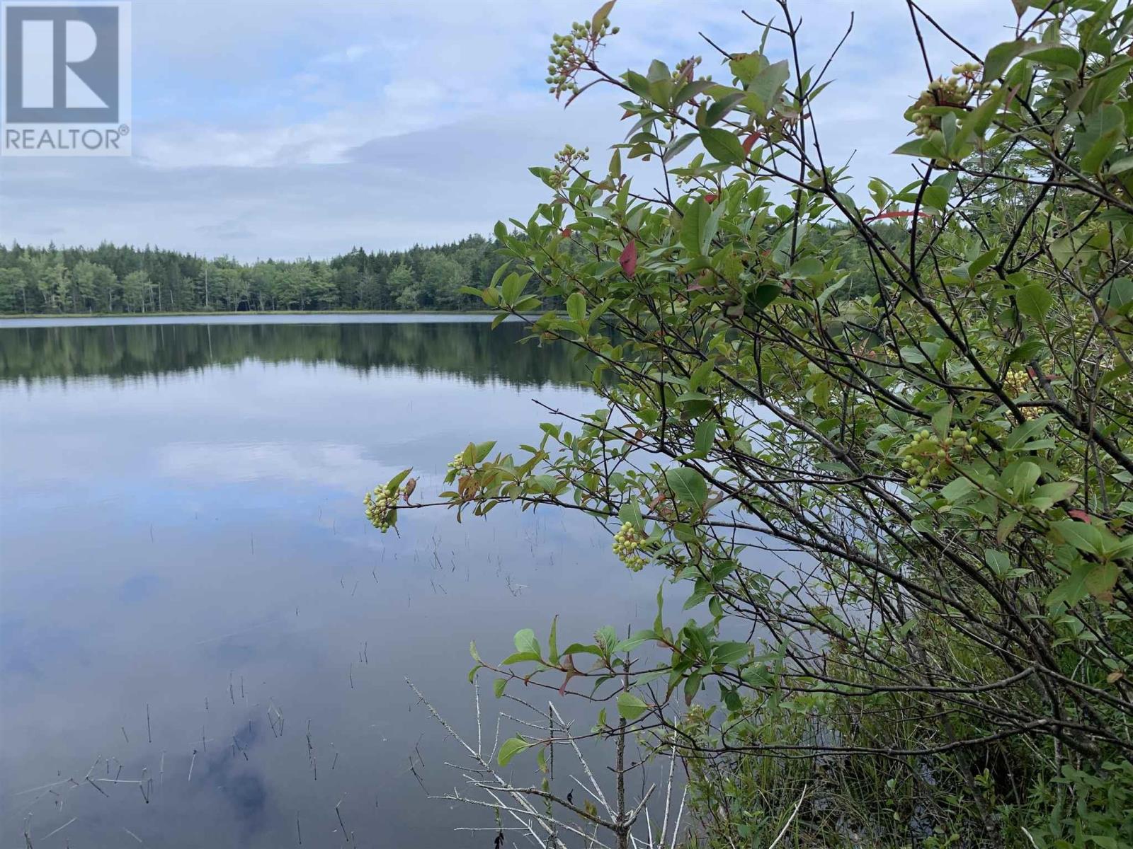 Highway 340 Forest Glen, forest glen, Nova Scotia