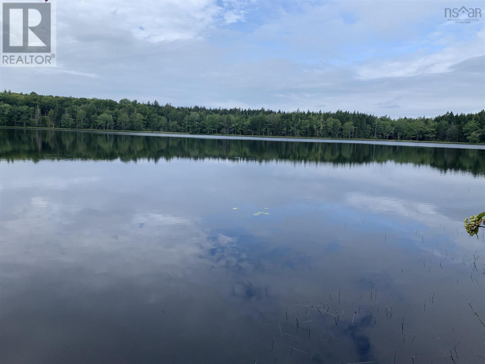Highway 340 Forest Glen, Forest Glen, Nova Scotia  B5A 5R1 - Photo 2 - 202120758