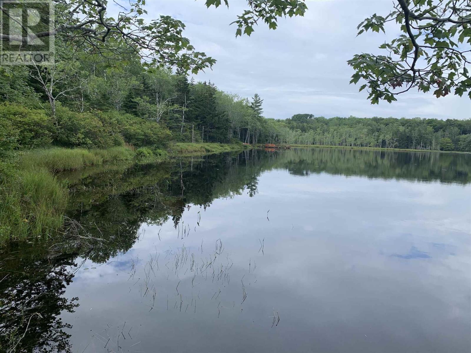 Highway 340 Forest Glen, Forest Glen, Nova Scotia  B5A 5R1 - Photo 4 - 202120758