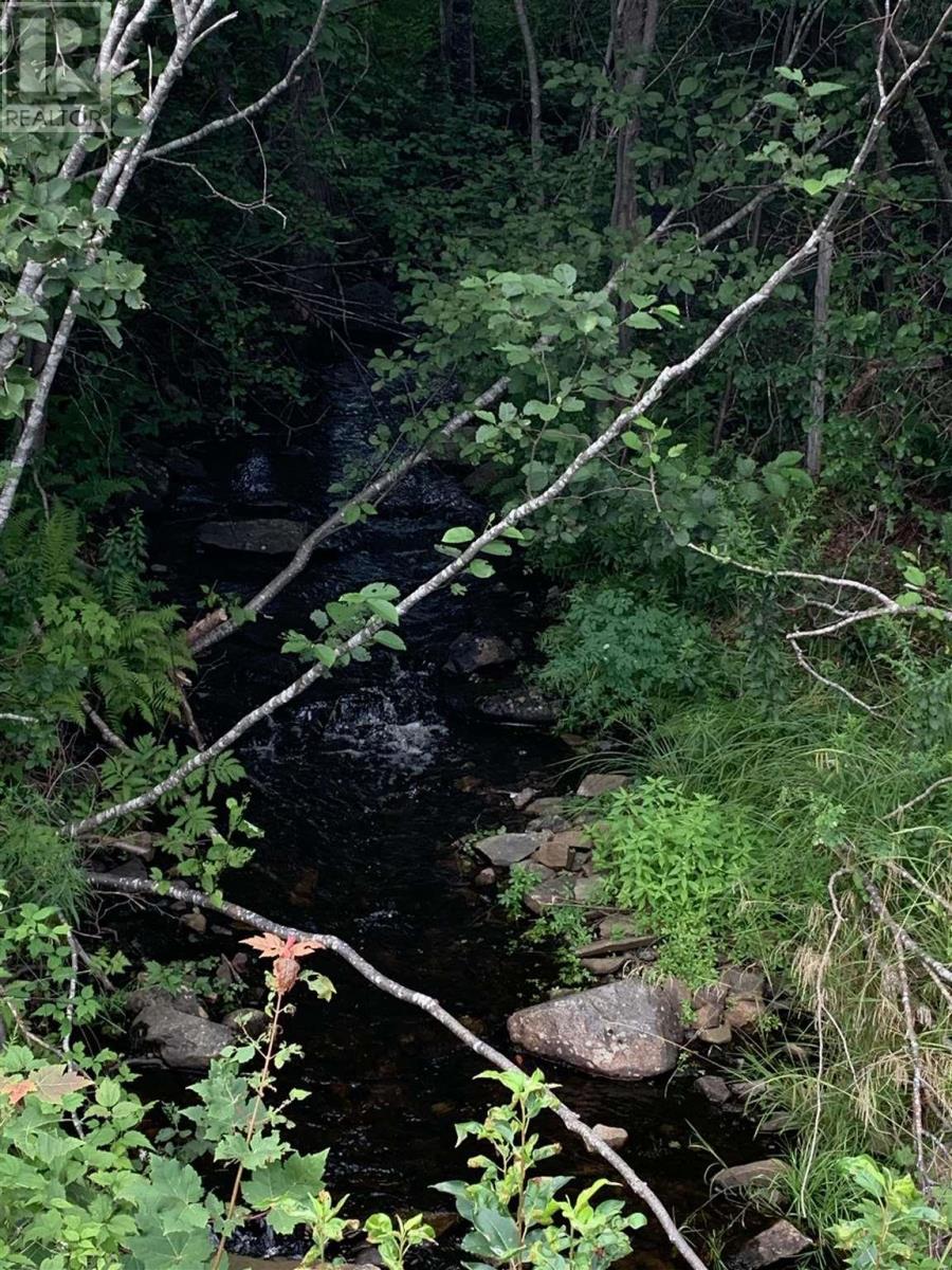 Highway 340 Forest Glen, Forest Glen, Nova Scotia  B5A 5R1 - Photo 5 - 202120758