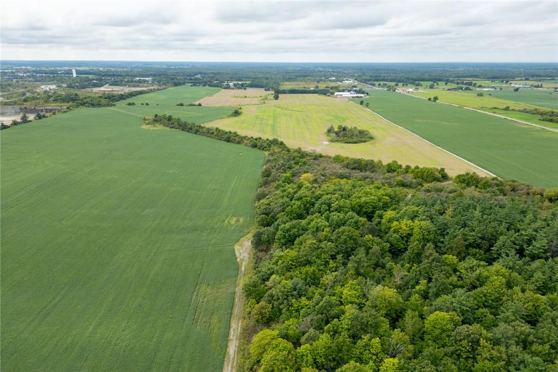 4136 #6 Highway, Hagersville, Ontario  N0A 1H0 - Photo 49 - H4205223