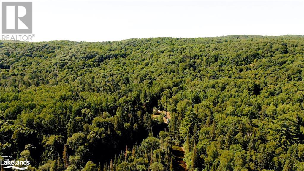 1448 Binscarth Trail, Haliburton, Ontario K0M 1S0 - Photo 22 - 40624335