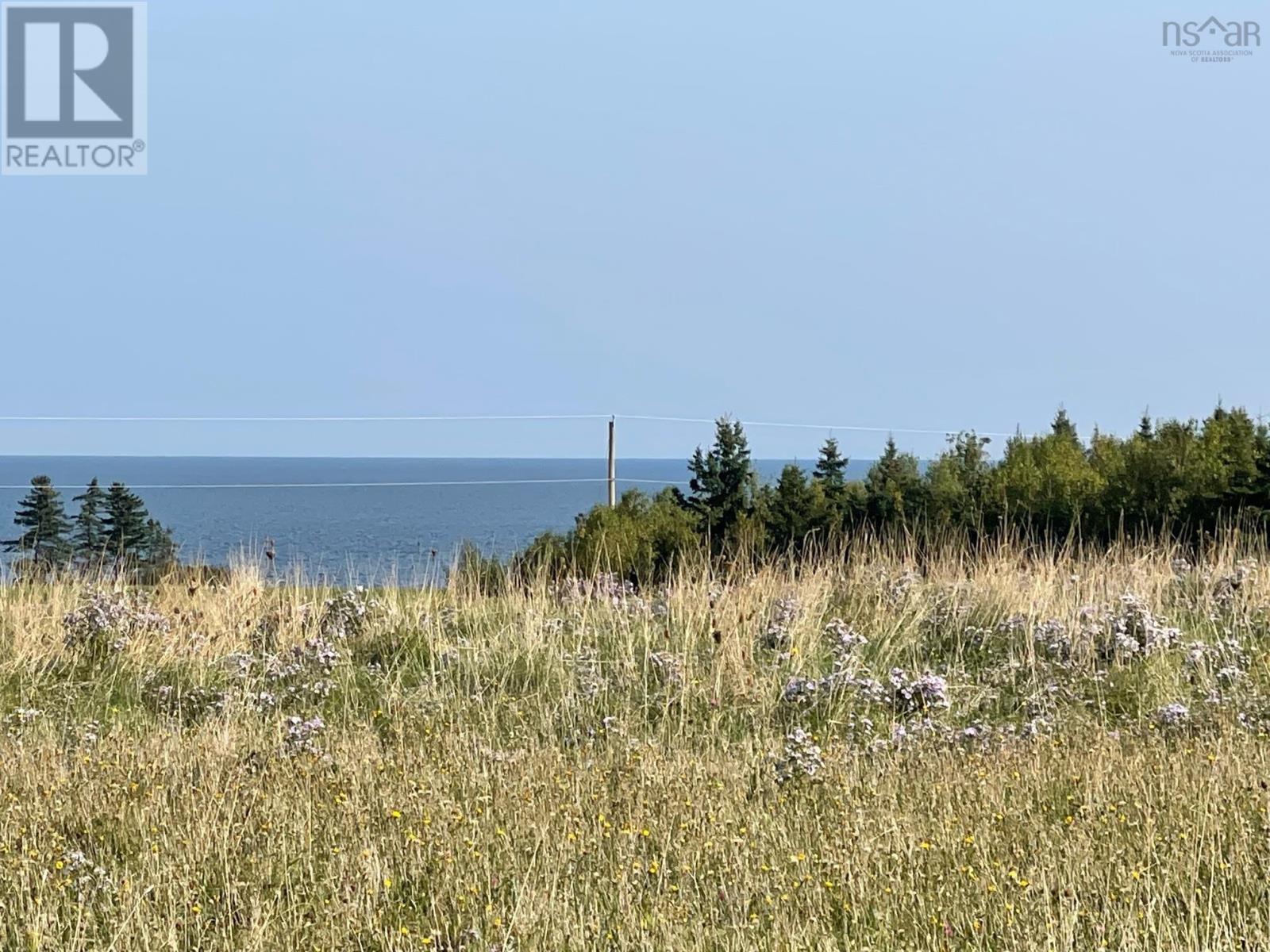 Lot 19 Pugwash Point Road, Pugwash, Nova Scotia  B0K 1L0 - Photo 6 - 202401476