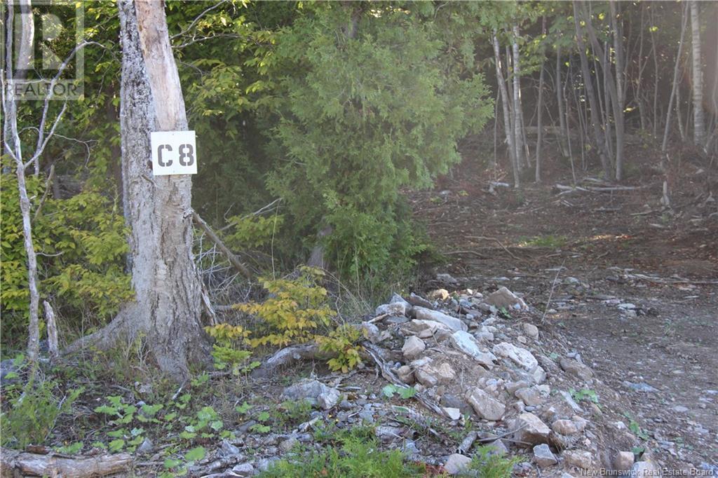 Property at 00 Shoreline Drive image 1