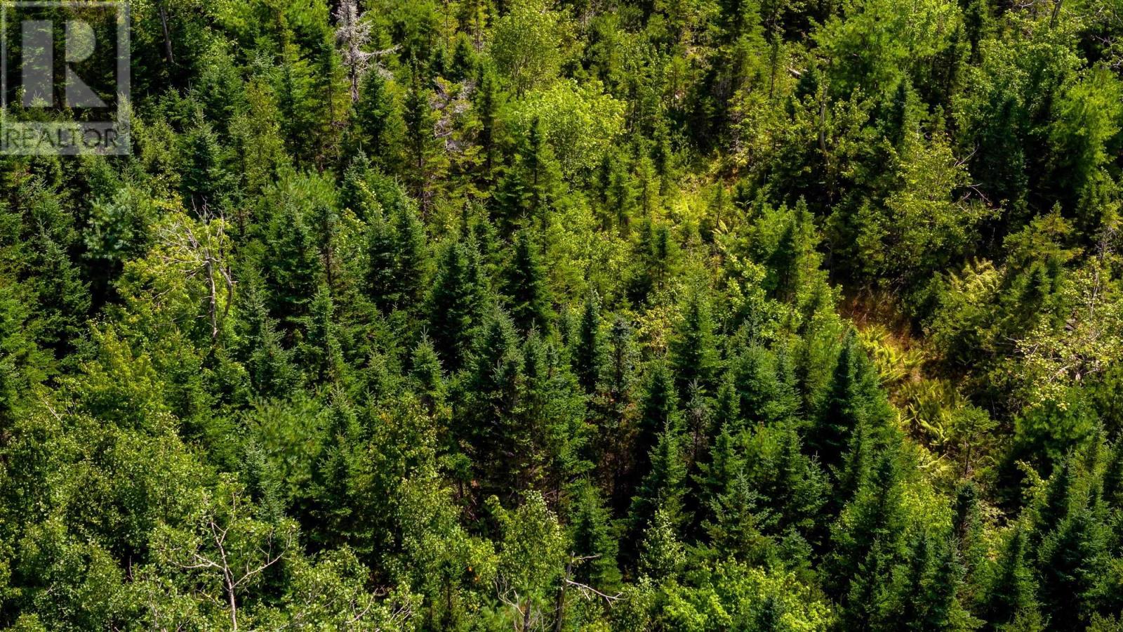 Lorem Ipsum Dolor Si, Morristown, Nova Scotia  B0P  - Photo 14 - DEMO27348967