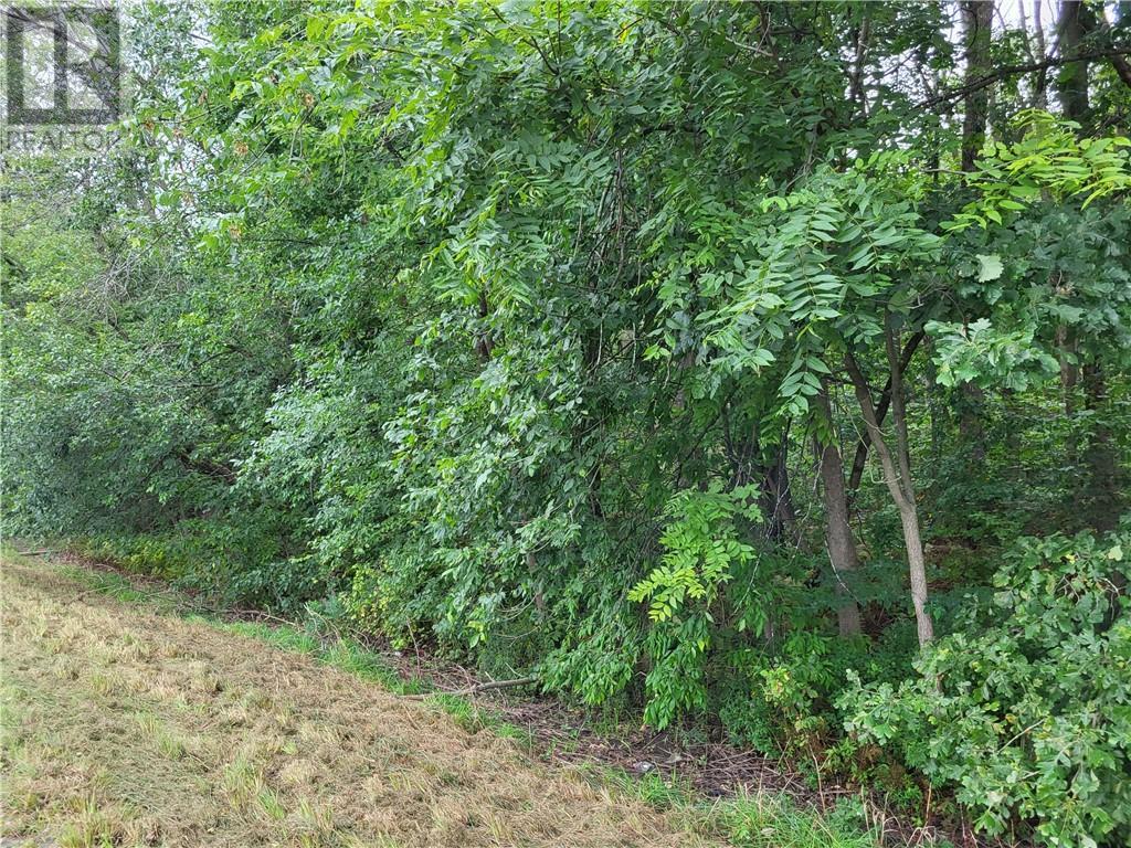 00 County Rd 36 Road, Long Sault, Ontario K0C 1P0 - Photo 1 - 1408823