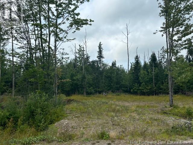 Lot 12-03 Robby Street, Douglas, New Brunswick