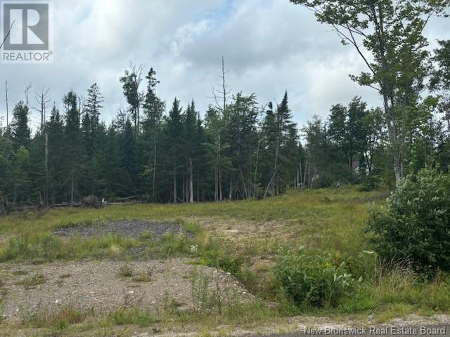 Lot 12-02 Robby Street, Douglas, New Brunswick  E3G 8B5 - Photo 1 - NB105011