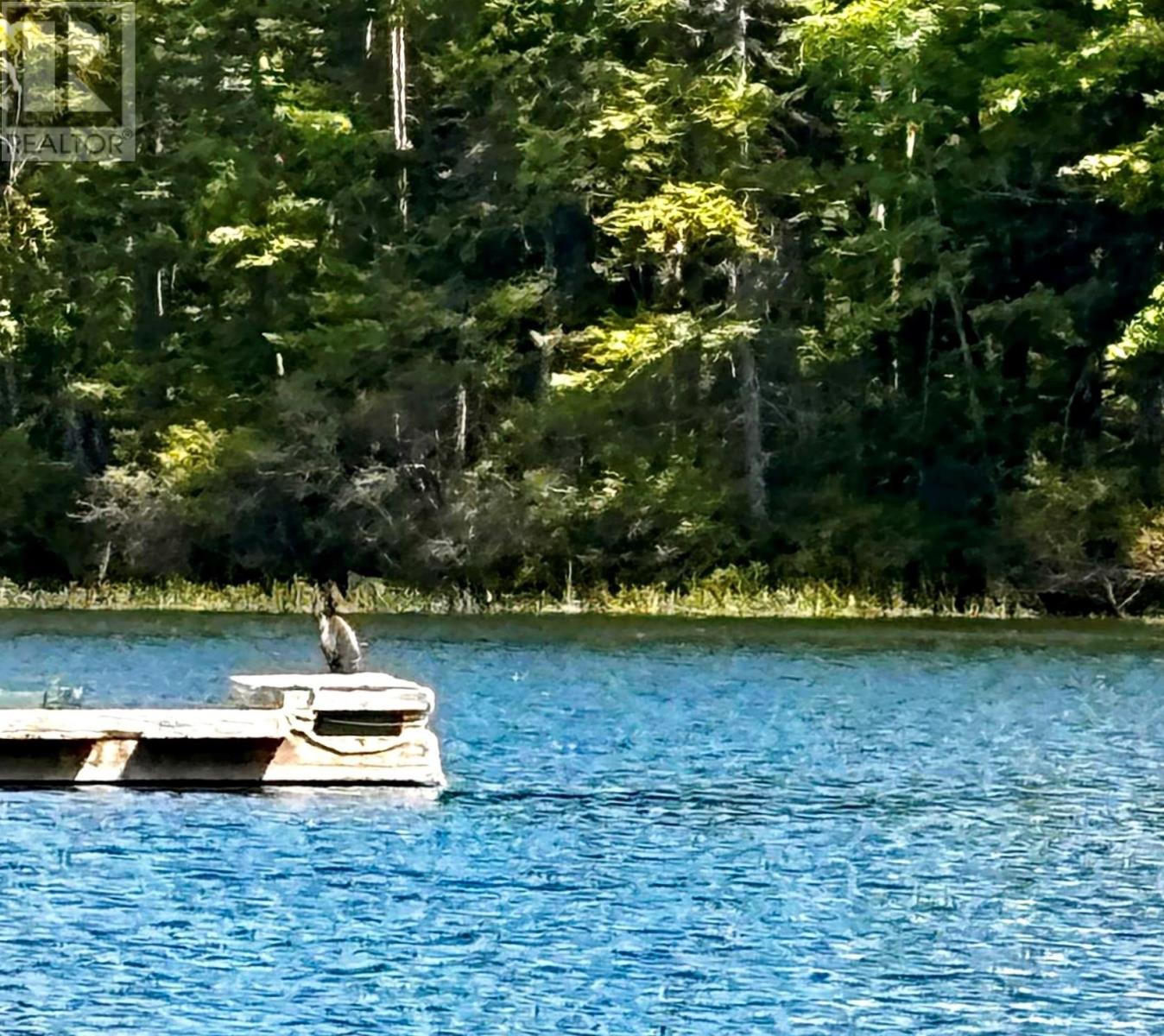 53 Larch Lane, New Russell, Nova Scotia  B0J 2M0 - Photo 22 - 202421052