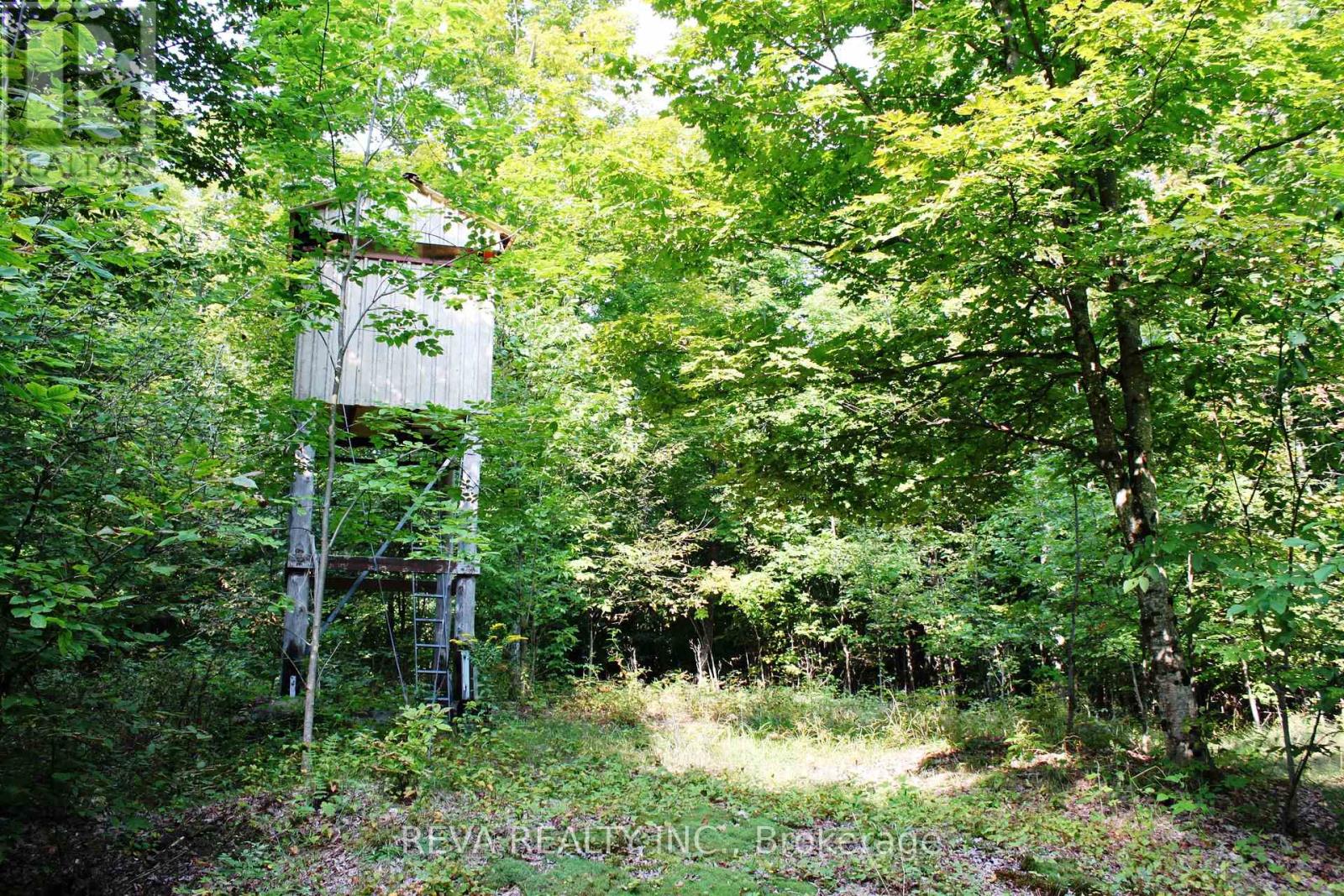 21851 Highway 118, Highlands East, Ontario  K0L 1M0 - Photo 5 - X9285036