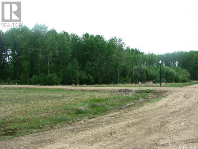 5 Fresno Street, Big River Rm No. 555, Saskatchewan  S0J 0E0 - Photo 4 - SK982285