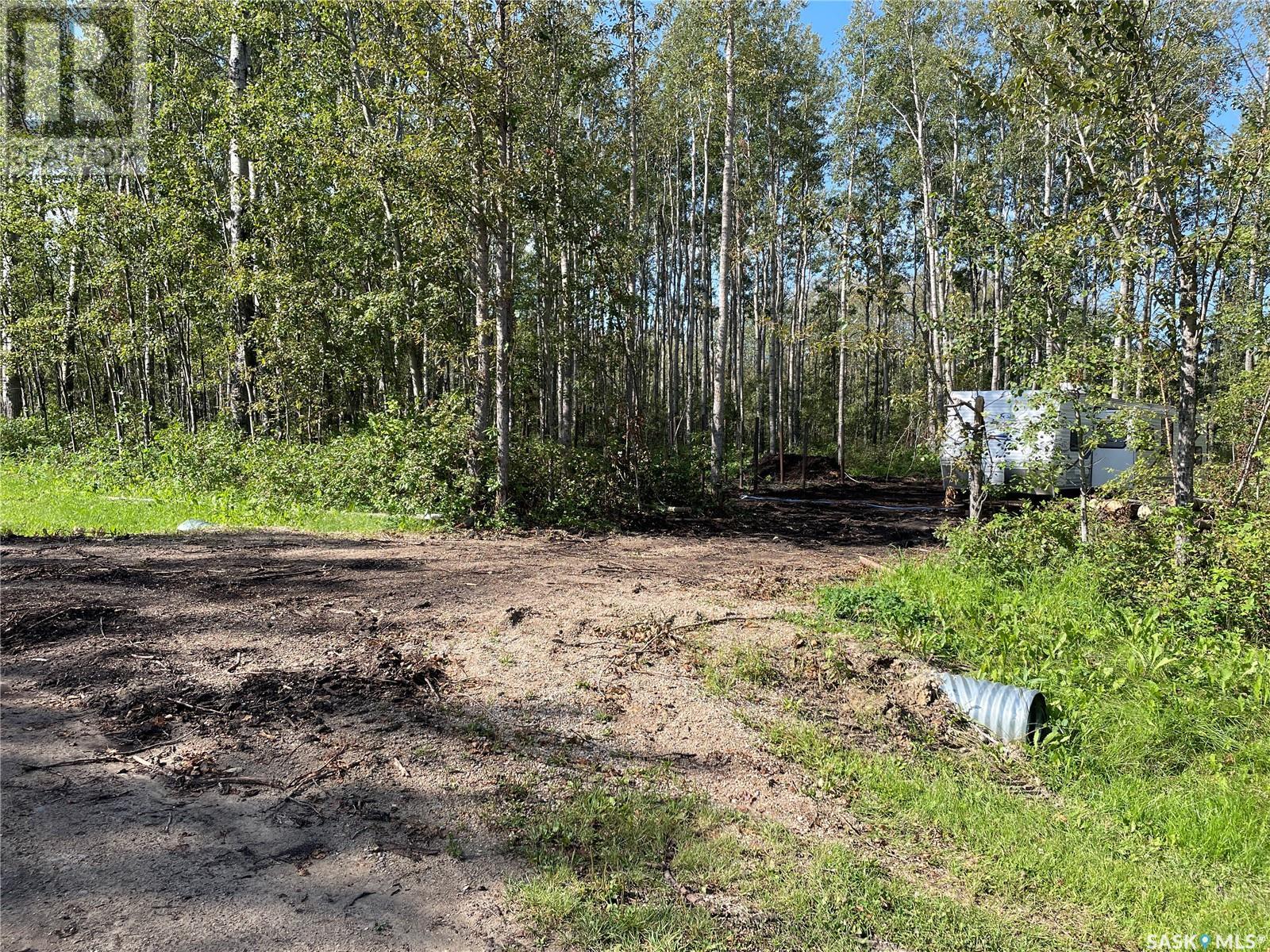 Lot 7 Buffalo Pound Road, Big River Rm No. 555, Saskatchewan  S0J 0E0 - Photo 2 - SK982284