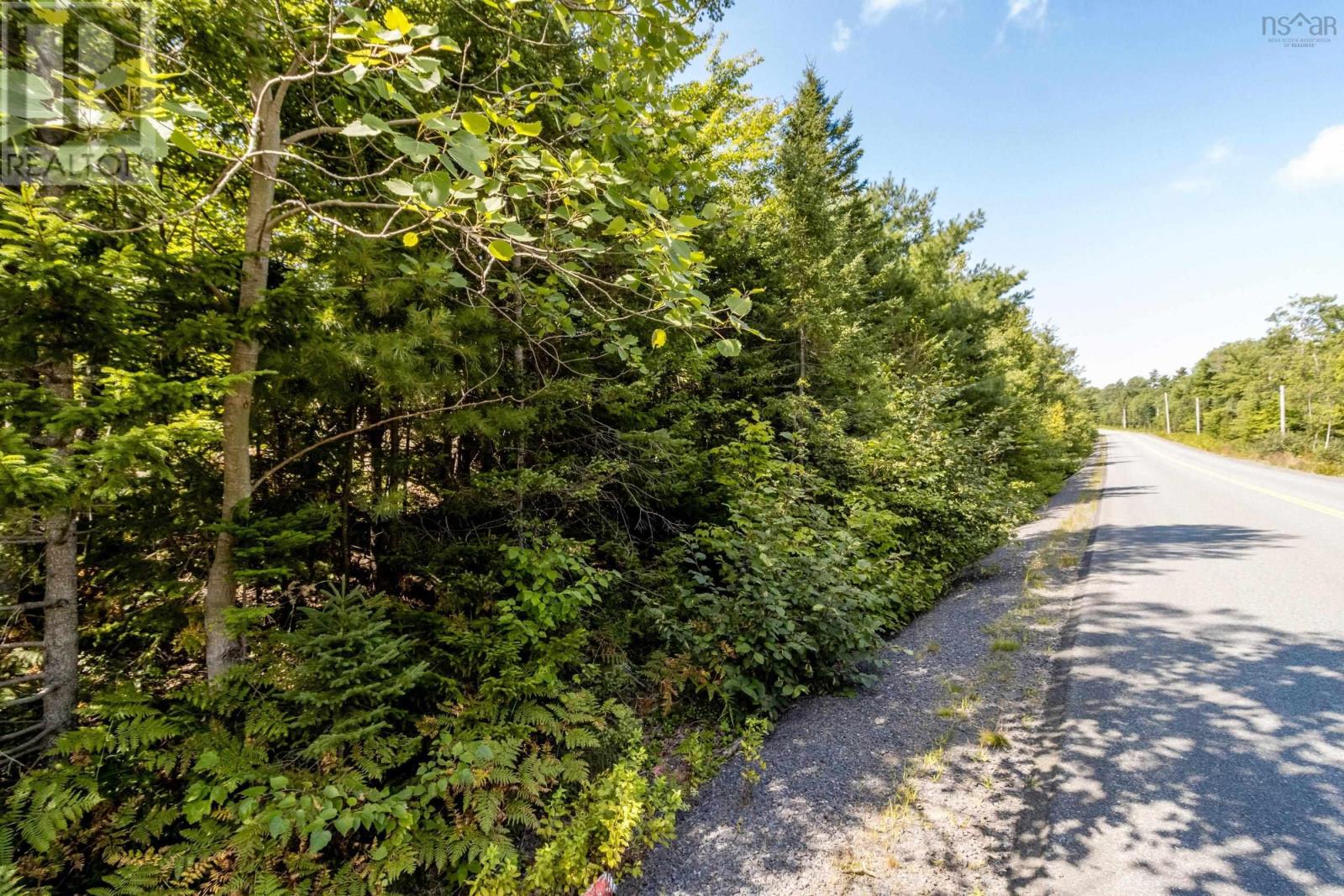 Lorem Ipsum Dolor Si, Morristown, Nova Scotia  B0P  - Photo 4 - DEMO27348896