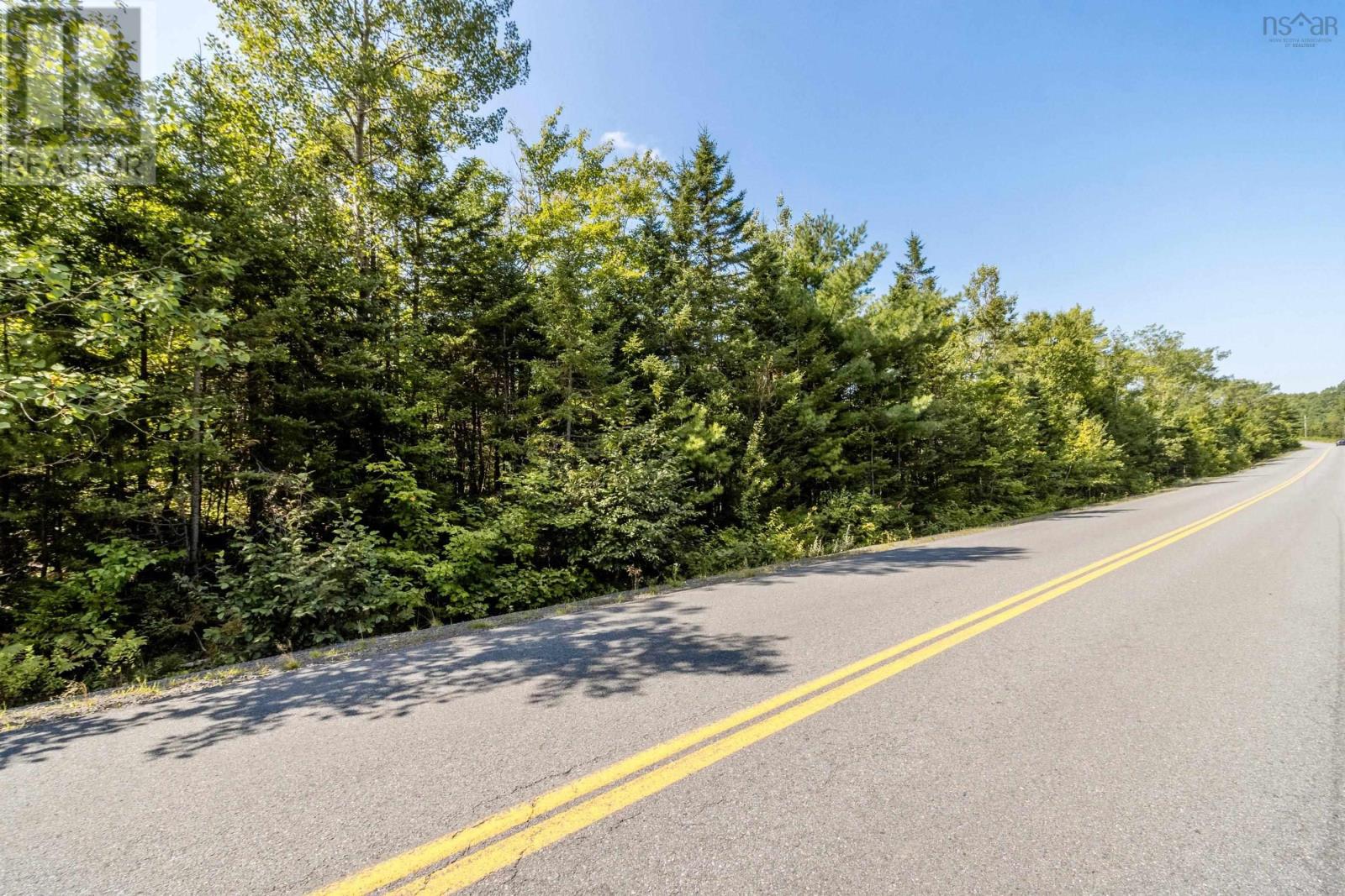 Lorem Ipsum Dolor Si, Morristown, Nova Scotia  B0P  - Photo 5 - DEMO27348896