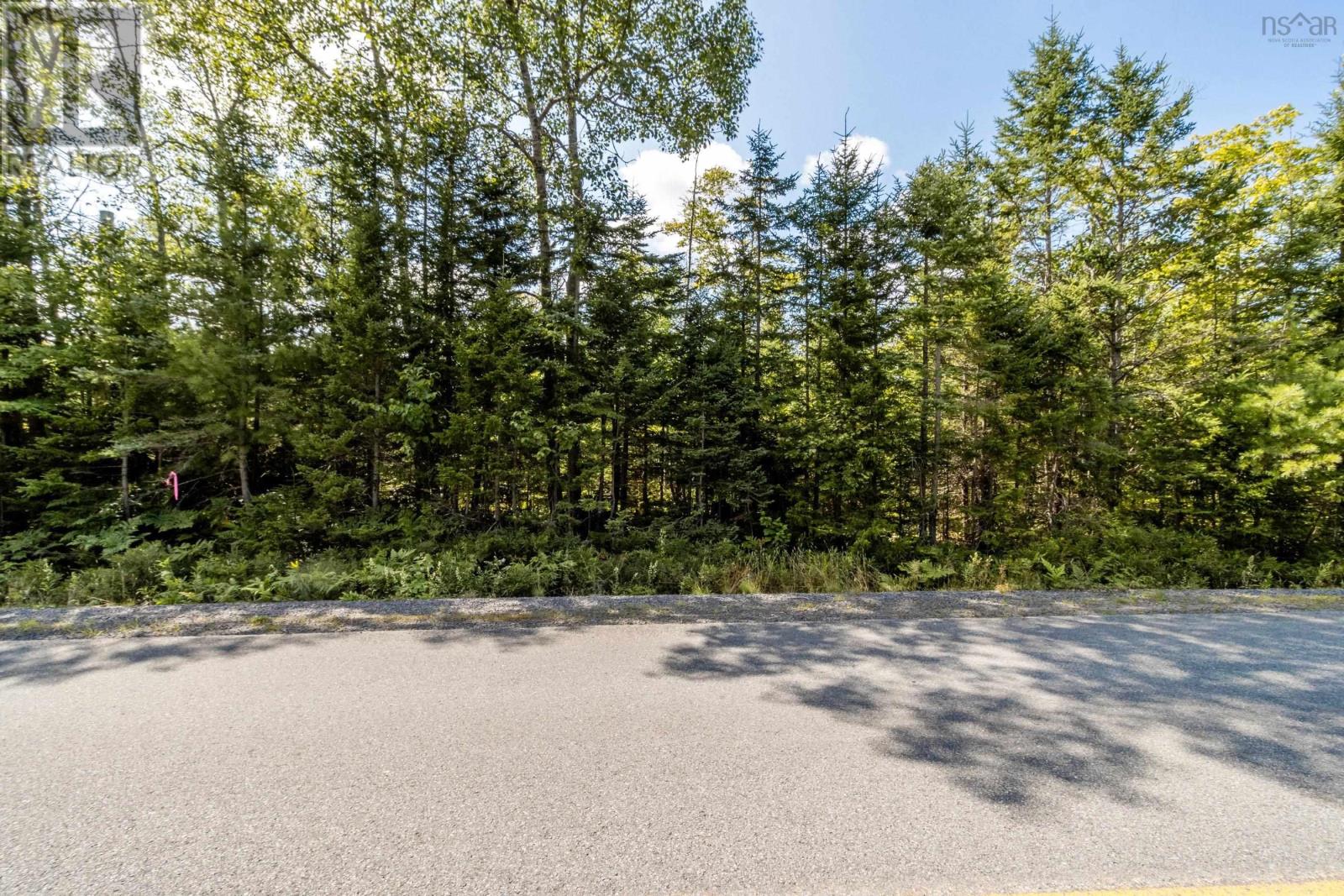 Lot 4 Aylesford Road, Morristown, Nova Scotia  B0P 1C0 - Photo 6 - 202421065