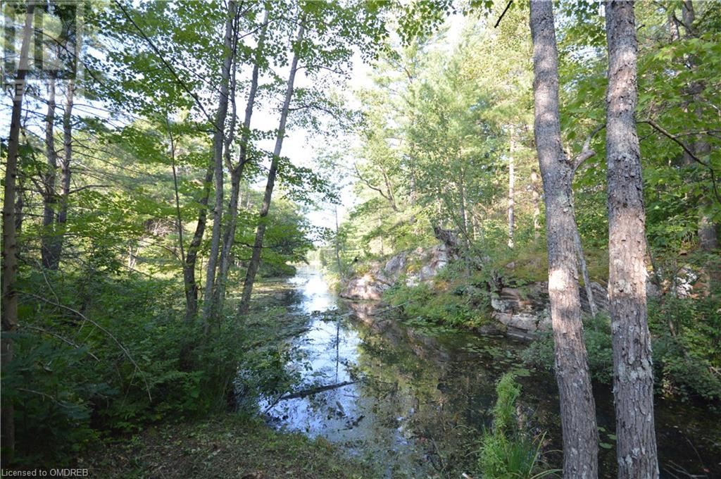 3227 Muskoka Street, Washago, Ontario  L0K 2B0 - Photo 34 - 40633679