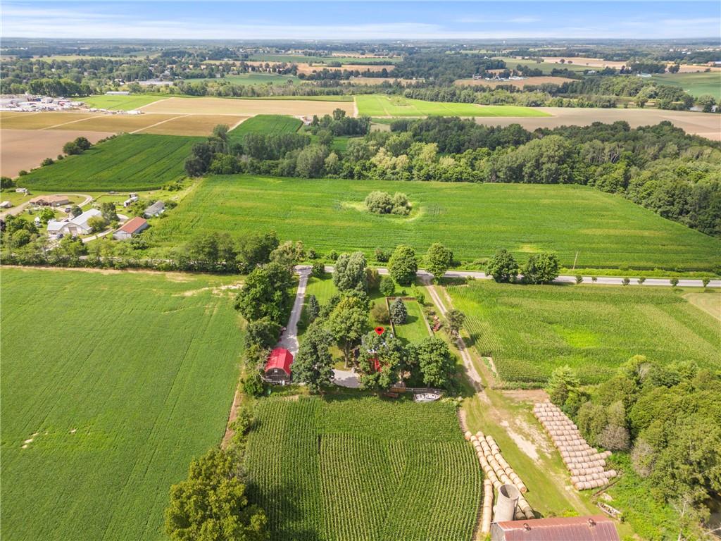 203 Jenkins Road, Scotland, Ontario  N0E 1R0 - Photo 38 - H4205341