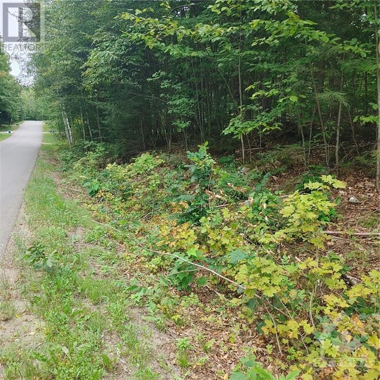 49 Lorlei Drive, White Lake, Ontario  K0A 3L0 - Photo 1 - 1408426