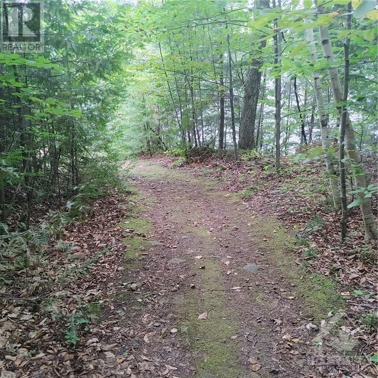 49 Lorlei Drive, White Lake, Ontario  K0A 3L0 - Photo 2 - 1408426