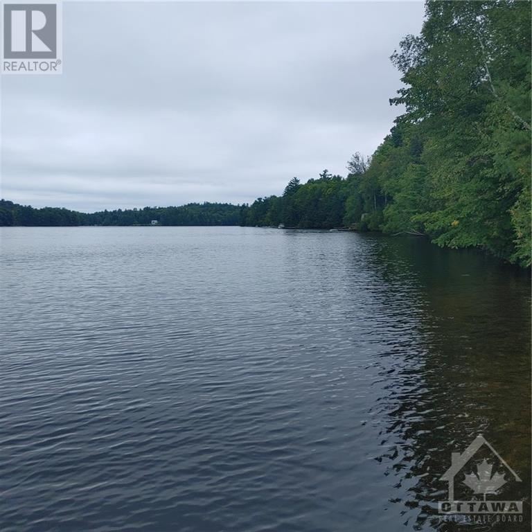 49 Lorlei Drive, White Lake, Ontario  K0A 3L0 - Photo 4 - 1408426