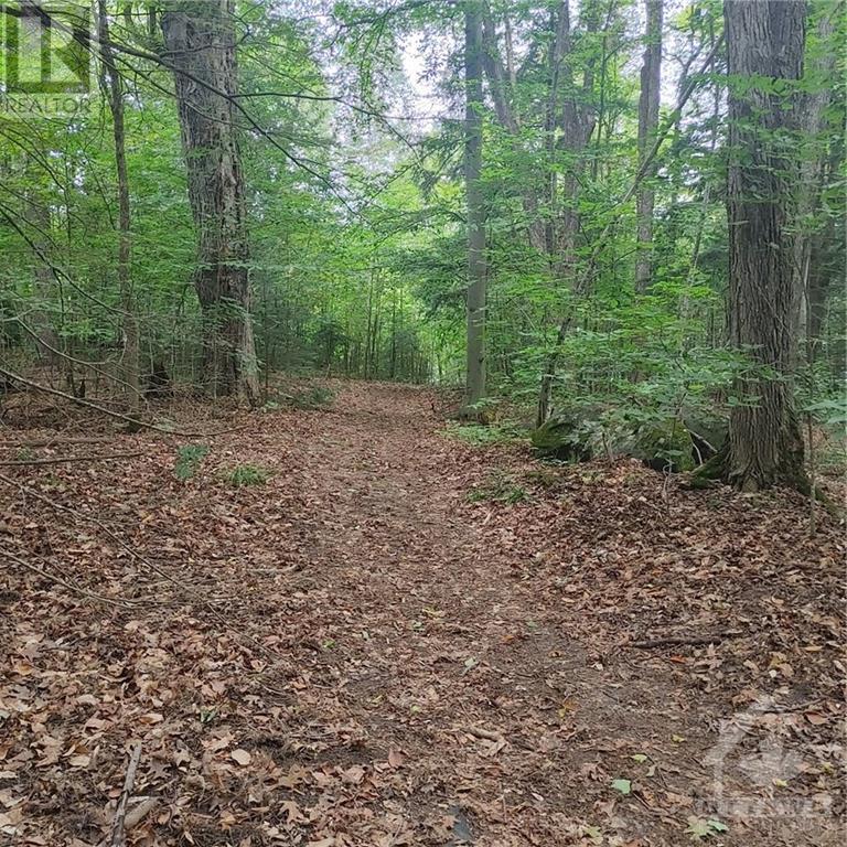 49 Lorlei Drive, White Lake, Ontario  K0A 3L0 - Photo 7 - 1408426