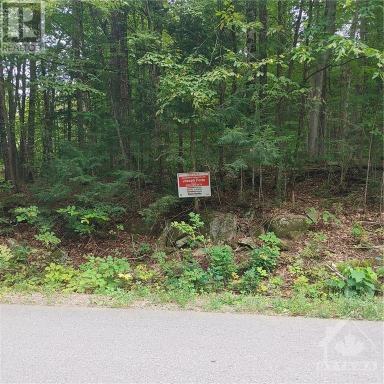 49 Lorlei Drive, White Lake, Ontario  K0A 3L0 - Photo 8 - 1408426