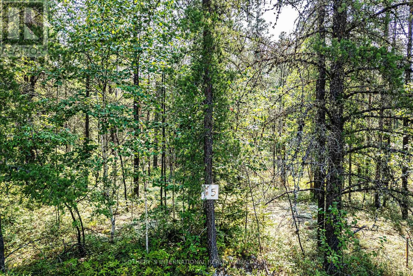 Lot 5 Munro Lake Road, Cochrane Remote Area, Ontario  A0A 0A0 - Photo 7 - X9267711