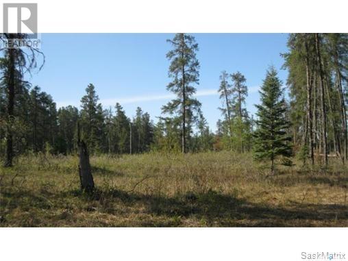 Rec Lot 5 Blk 2, Hudson Bay Rm No. 394, Saskatchewan  S0E 0Y0 - Photo 1 - SK981891