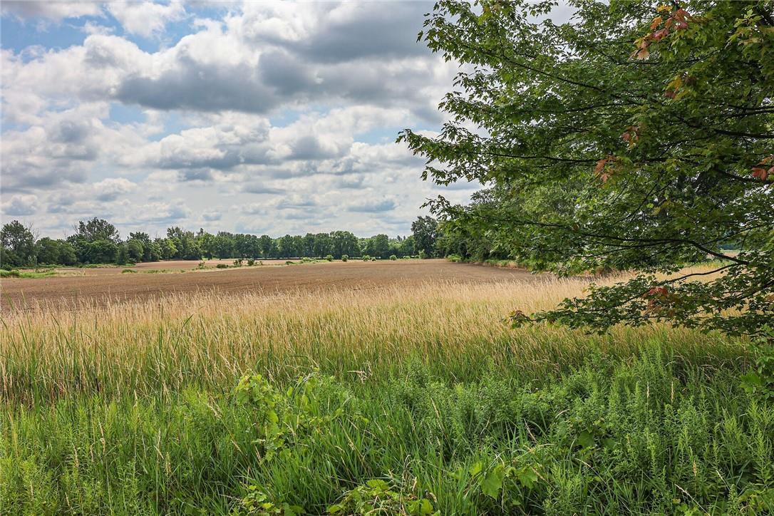 Pt Lt 22 Concession 2 Road W, Flamborough, Ontario  L0R 1T0 - Photo 23 - H4205374