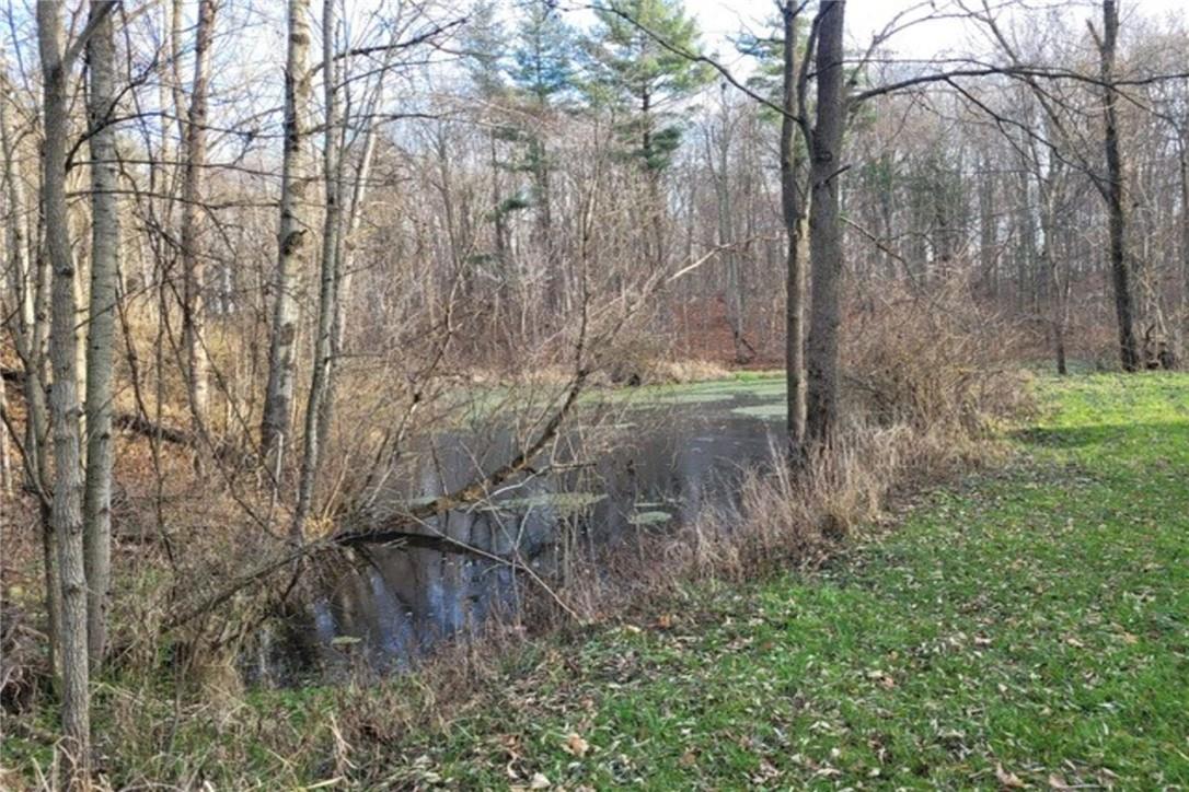 Pt Lt 22 Concession 2 Road W, Flamborough, Ontario  L0R 1T0 - Photo 25 - H4205374