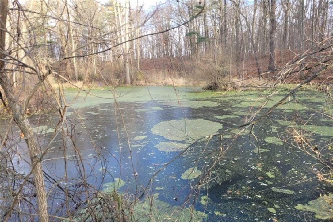 Pt Lt 22 Concession 2 Road W, Flamborough, Ontario  L0R 1T0 - Photo 26 - H4205374