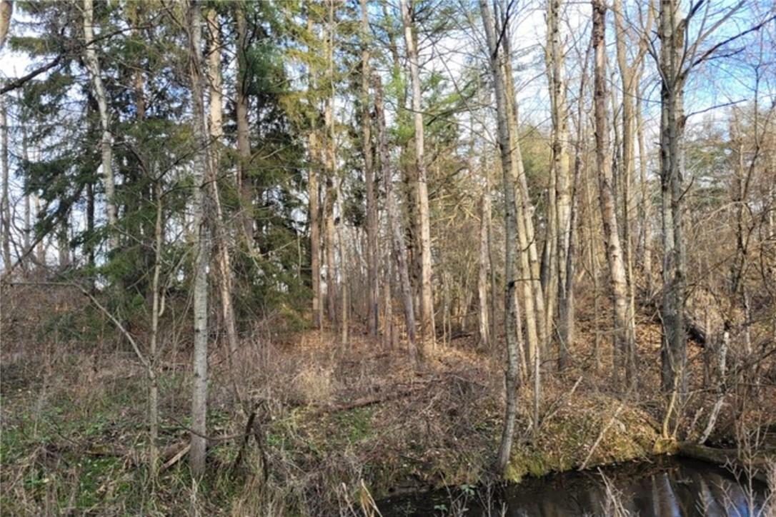 Pt Lt 22 Concession 2 Road W, Flamborough, Ontario  L0R 1T0 - Photo 28 - H4205374