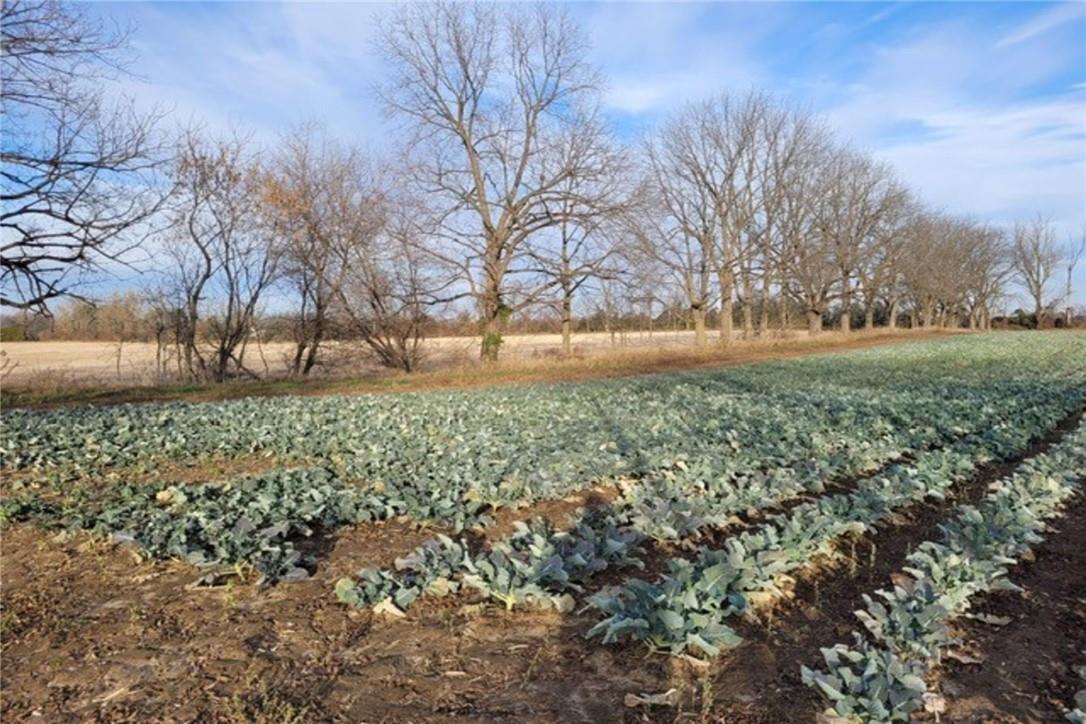 Pt Lt 22 Concession 2 Road W, Flamborough, Ontario  L0R 1T0 - Photo 29 - H4205374