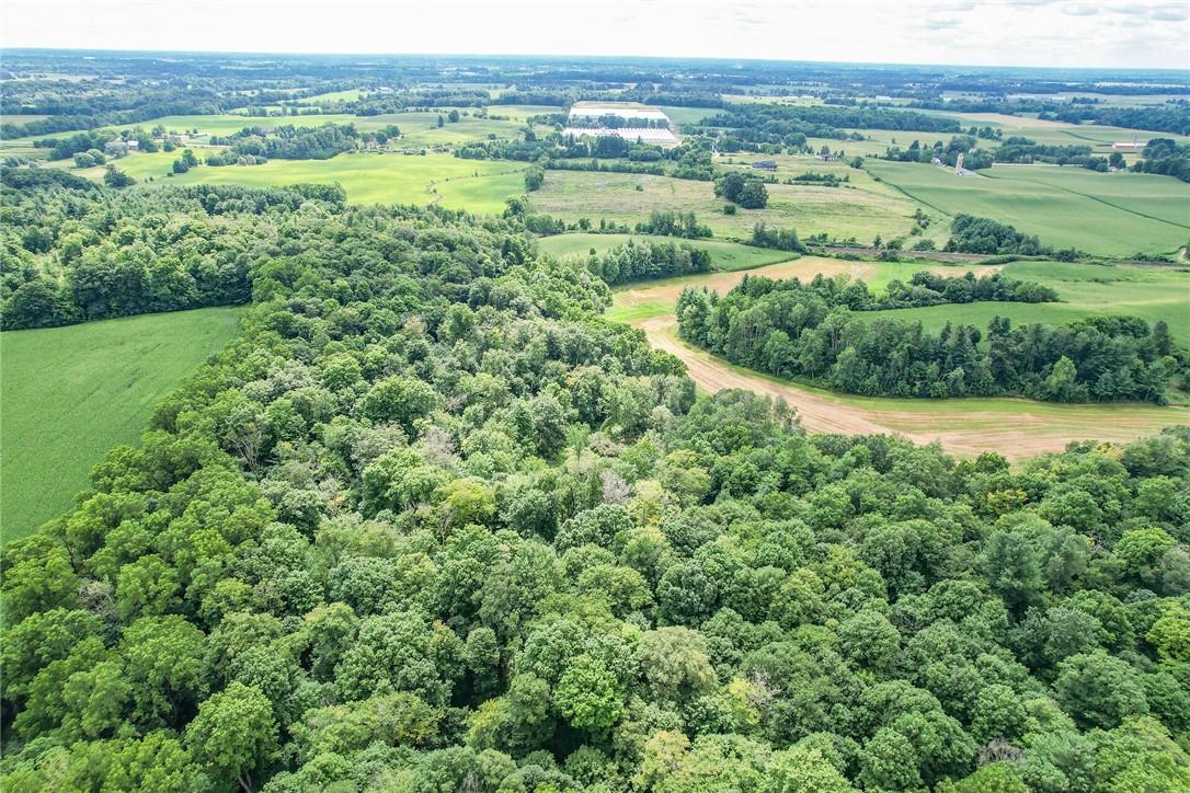 Pt Lt 22 Concession 2 Road W, Flamborough, Ontario  L0R 1T0 - Photo 19 - H4205375