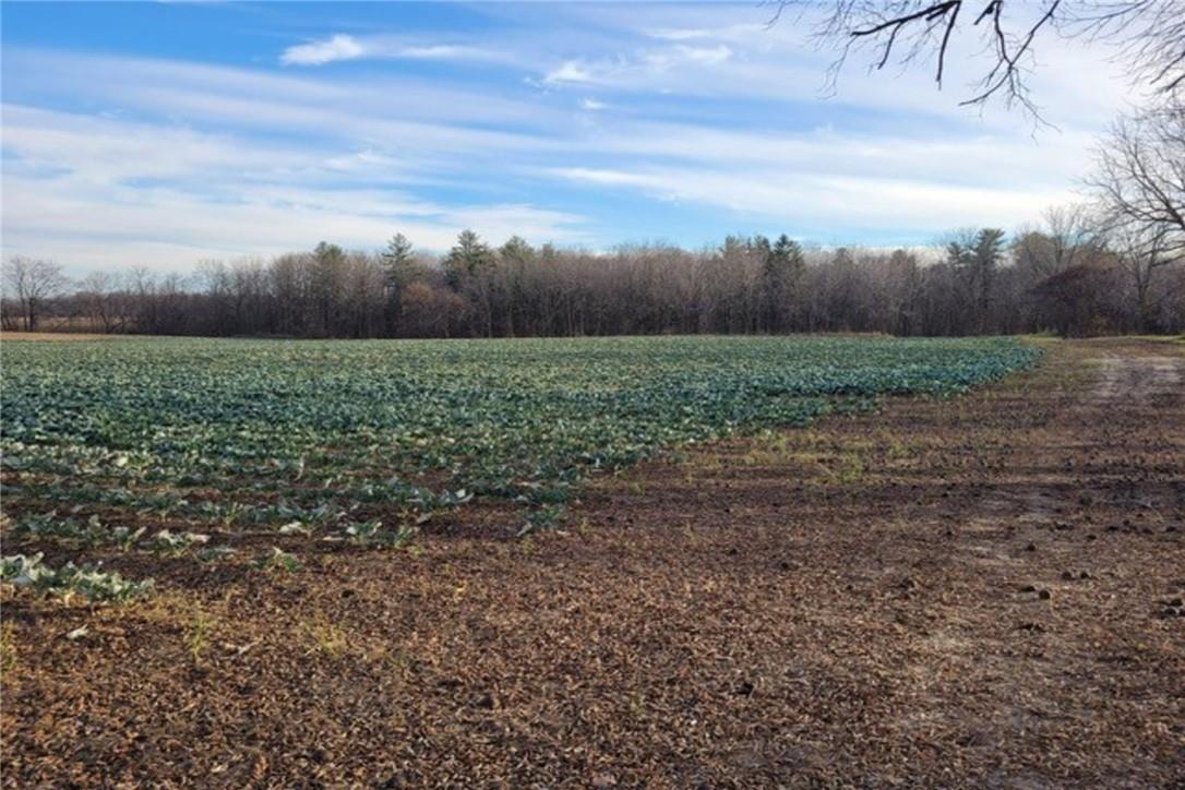 Pt Lt 22 Concession 2 Road W, Flamborough, Ontario  L0R 1T0 - Photo 34 - H4205375