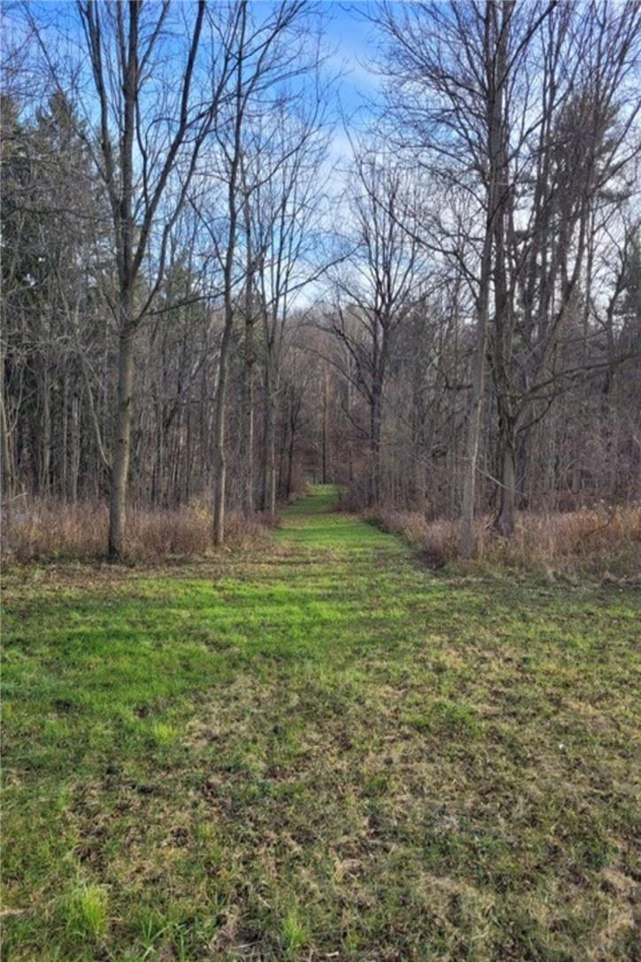 Pt Lt 22 Concession 2 Road W, Flamborough, Ontario  L0R 1T0 - Photo 35 - H4205375