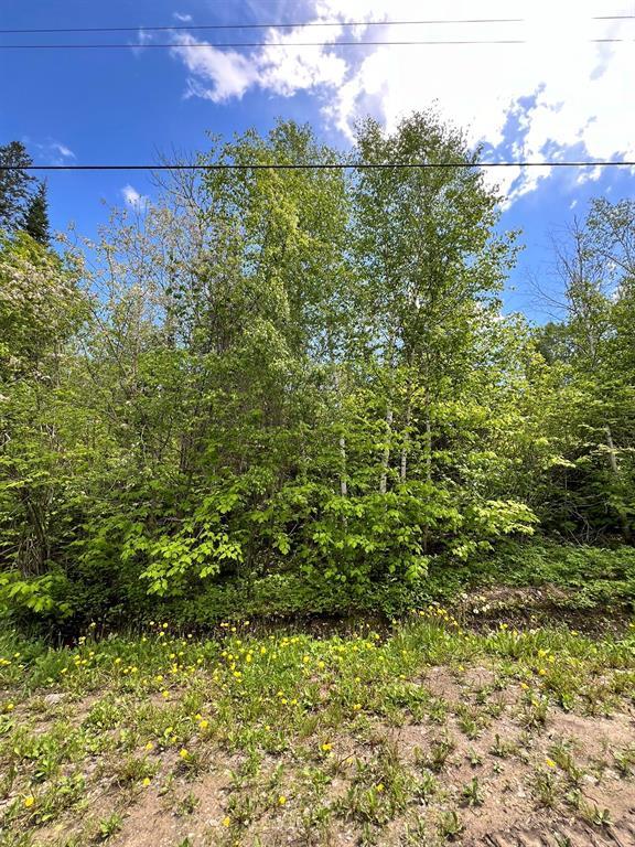 97 Pelican Inlet Road, Manigotagan, Manitoba  R0E 1E0 - Photo 1 - 202421113