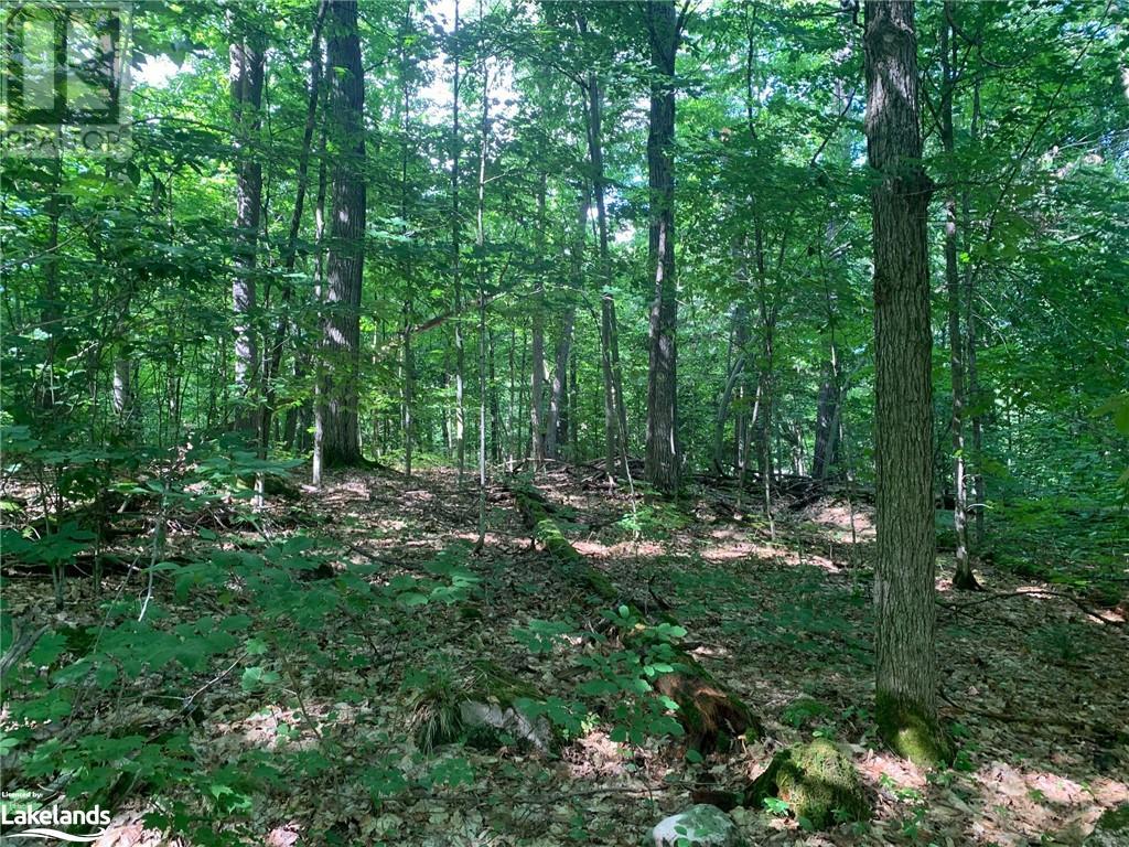 0 Donaldson Street, Dorset, Ontario  P0A 1E0 - Photo 10 - 40640041