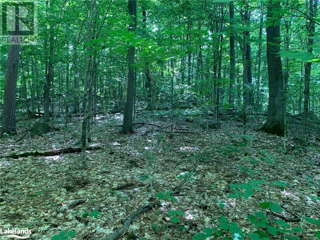 0 Donaldson Street, Dorset, Ontario  P0A 1E0 - Photo 13 - 40640041