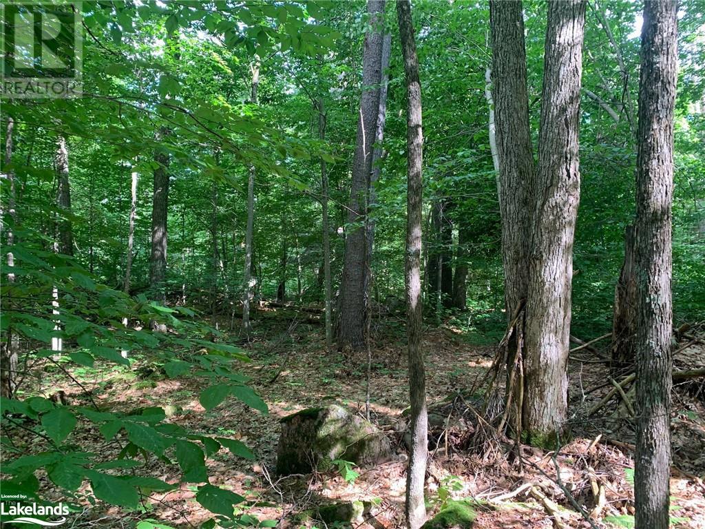 0 Donaldson Street, Dorset, Ontario  P0A 1E0 - Photo 15 - 40640041