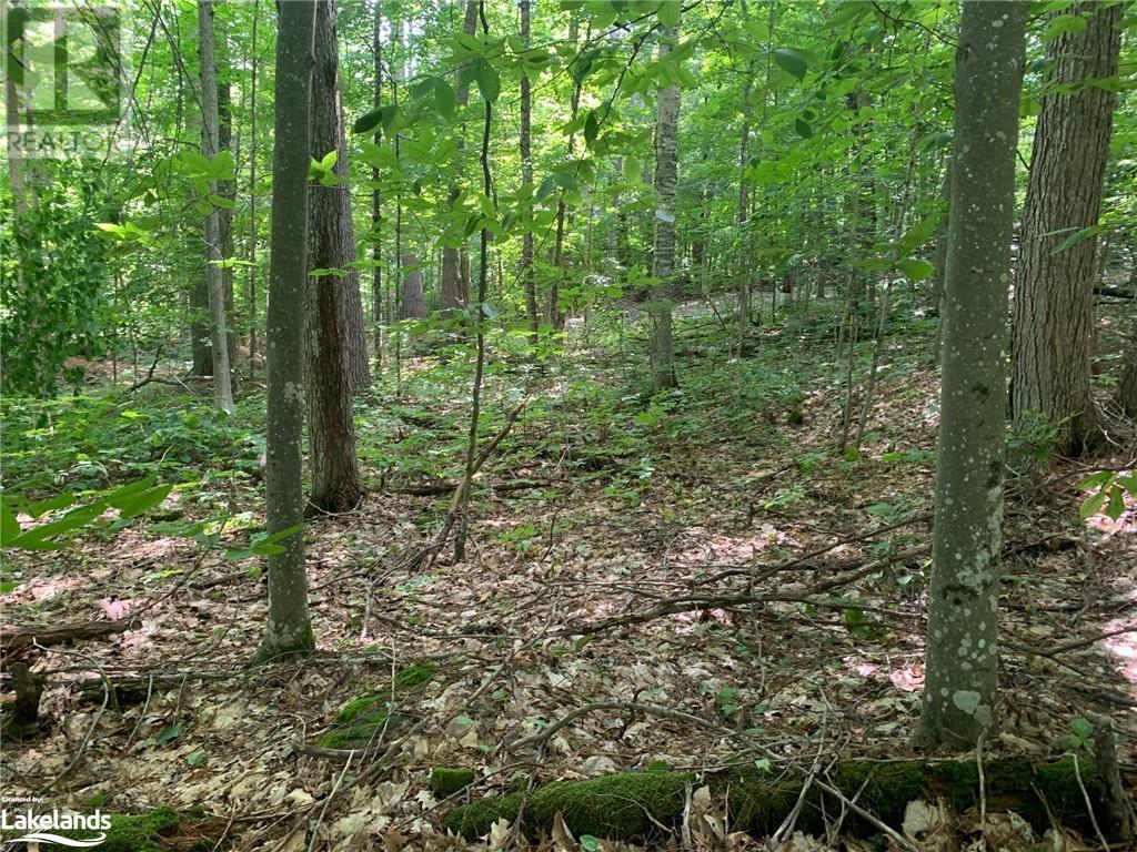 0 Donaldson Street, Dorset, Ontario  P0A 1E0 - Photo 3 - 40640041