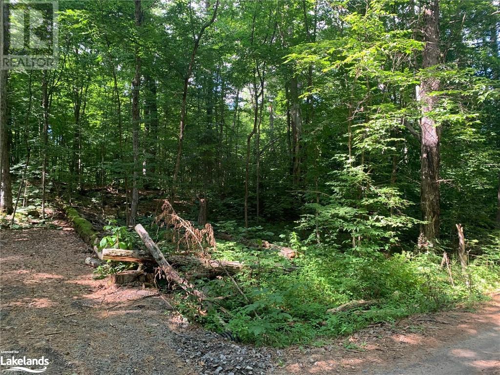 0 Donaldson Street, Dorset, Ontario  P0A 1E0 - Photo 8 - 40640041