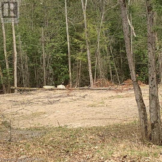 5 Mountain Basin Drive, Mcdougall, Ontario  P2A 2W9 - Photo 1 - 40630776