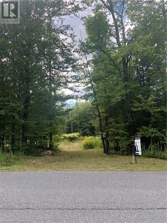 5 Mountain Basin Drive, Mcdougall, Ontario  P2A 2W9 - Photo 11 - 40630776
