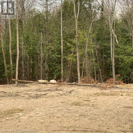 5 Mountain Basin Drive, Mcdougall, Ontario  P2A 2W9 - Photo 3 - 40630776