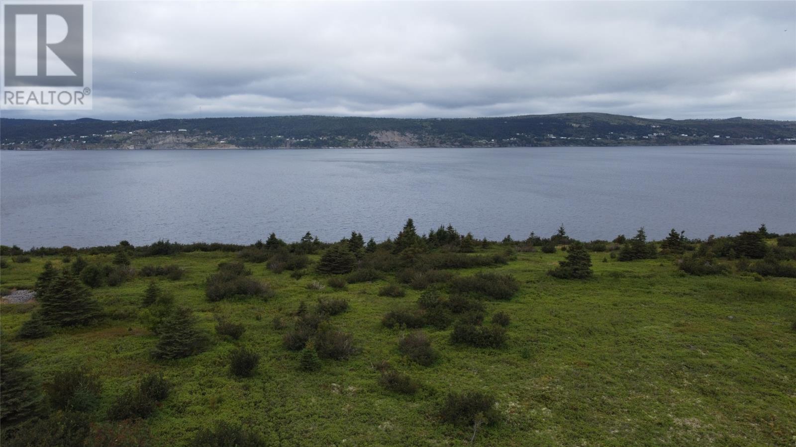 365 Central Street, Bay Roberts, Newfoundland & Labrador  A0A 1G0 - Photo 6 - 1276803