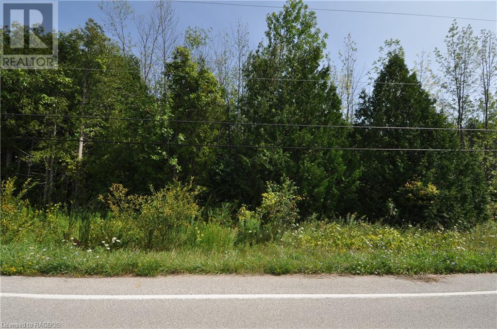 Pt Lt 12 Colpoys Range Road, Georgian Bluffs, Ontario  N0H 2T0 - Photo 1 - 40635705